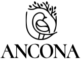 Ancona